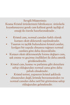 KRİSTAL DEKOR DANTEL KENAR EL İŞÇİLİĞİ CAM SOFRA SUNUM KASESİ